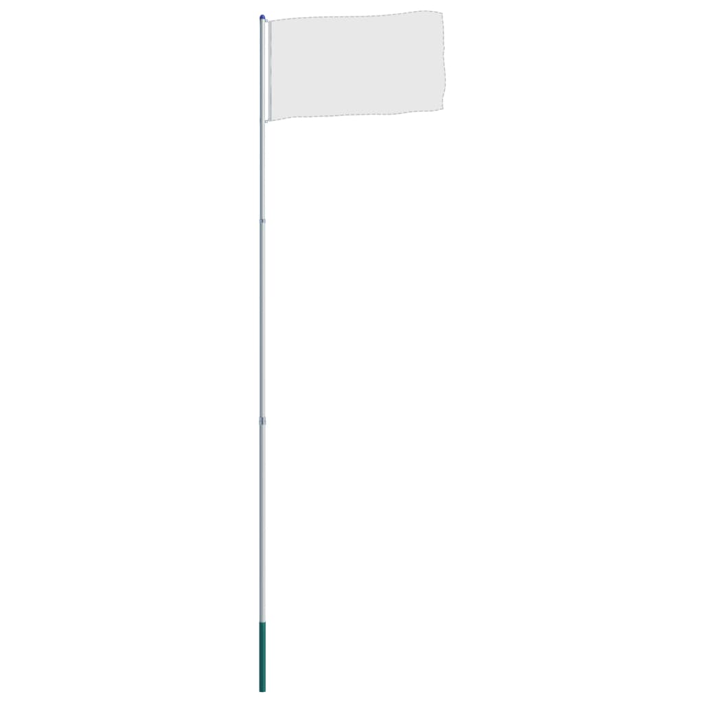 vidaXL Teleskopinis vėliavos stiebas, aliuminis, 6m