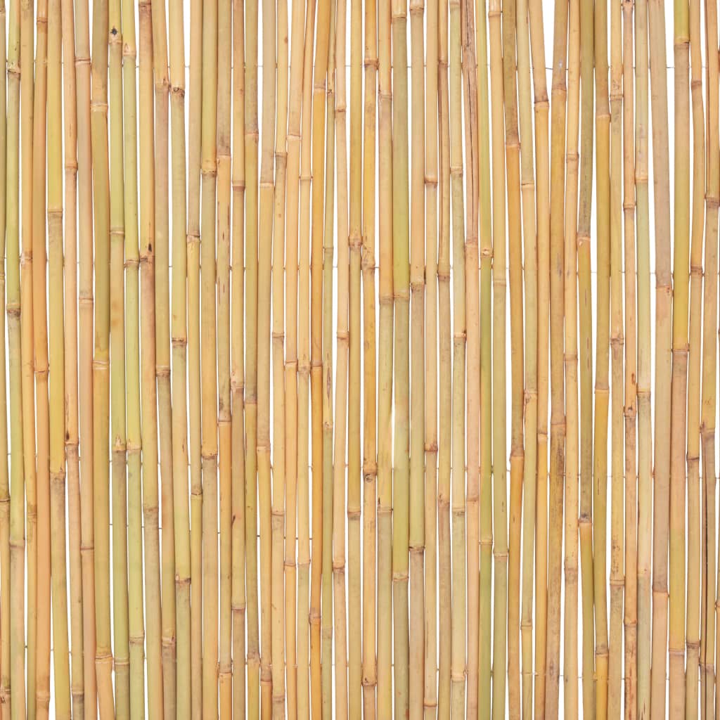 vidaXL Bambuko tvora, 300x100cm