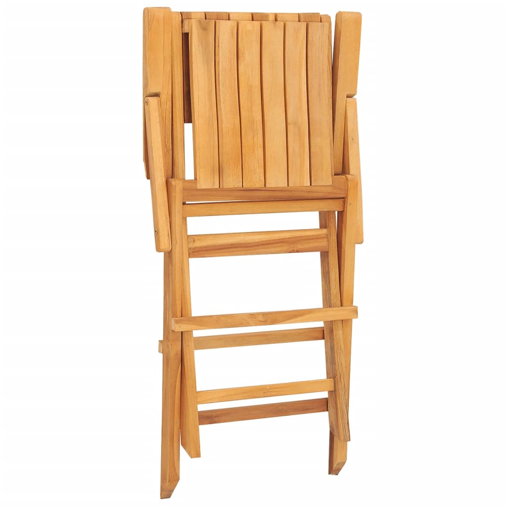 vidaXL Sulankstomos sodo kėdės, 2vnt., 55x61x90cm, tikmedžio masyvas