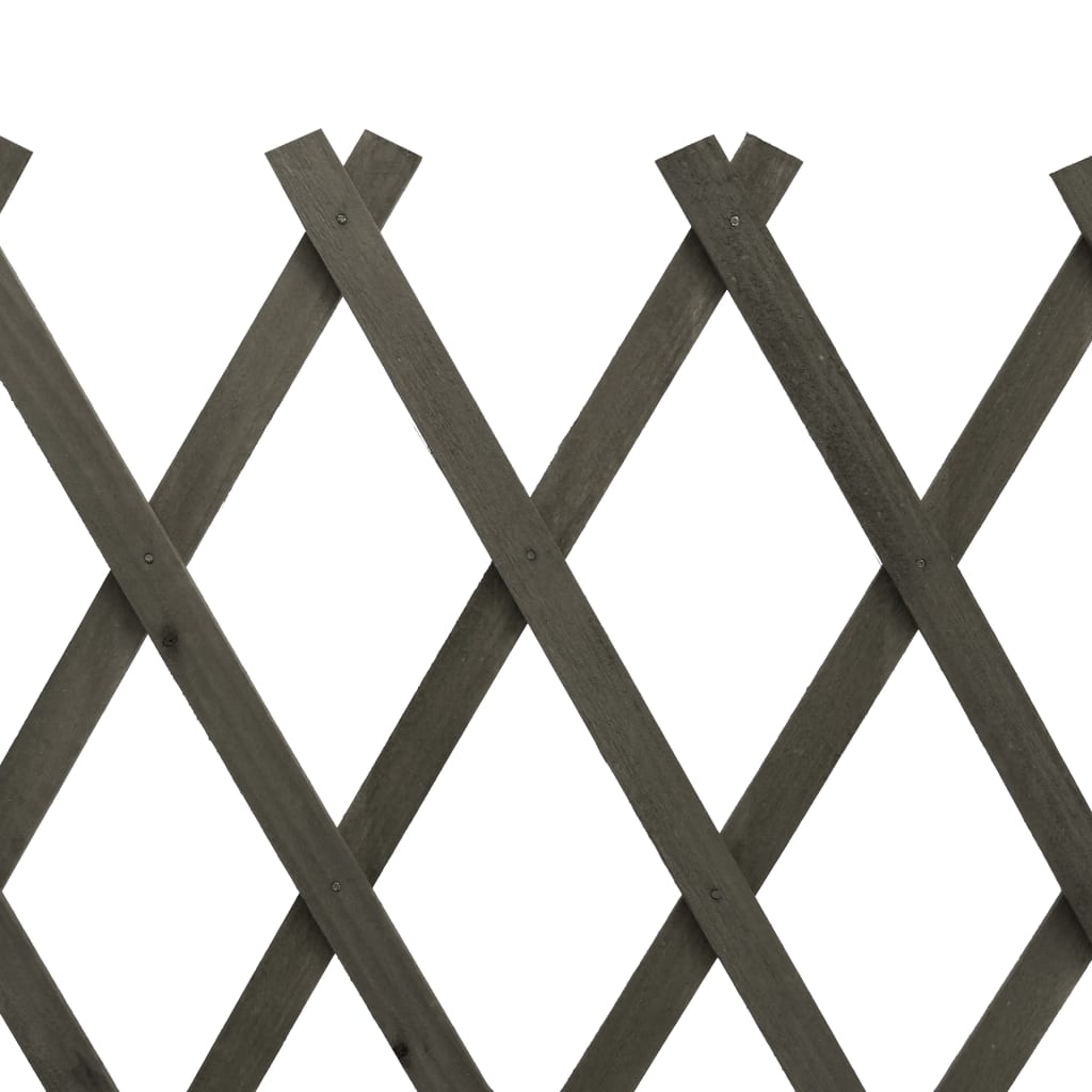 vidaXL Sodo treliažas-tvora, pilkos spalvos, 120x60cm, eglės masyvas