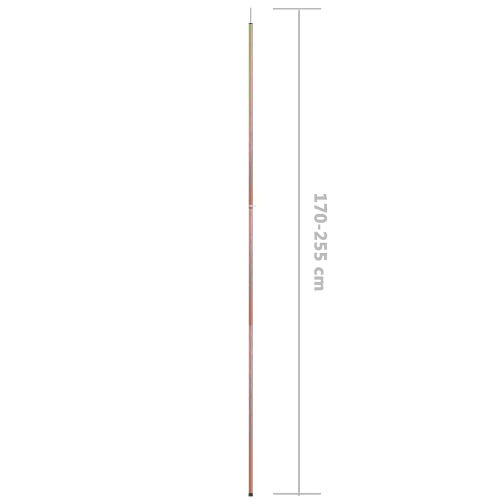 vidaXL Teleskopiniai palapinės strypai, 2vnt., 170-255cm, plienas