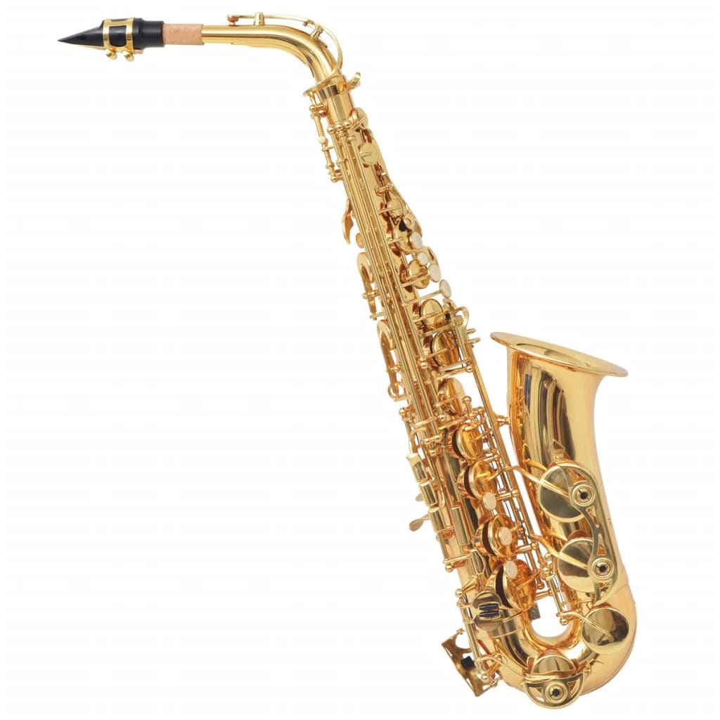 vidaXL Alto saksofonas, geltonas žalvaris su aukso sp. laku, Eb