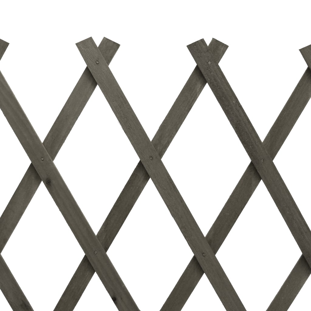vidaXL Sodo treliažas-tvora, pilkos spalvos, 150x80cm, eglės masyvas