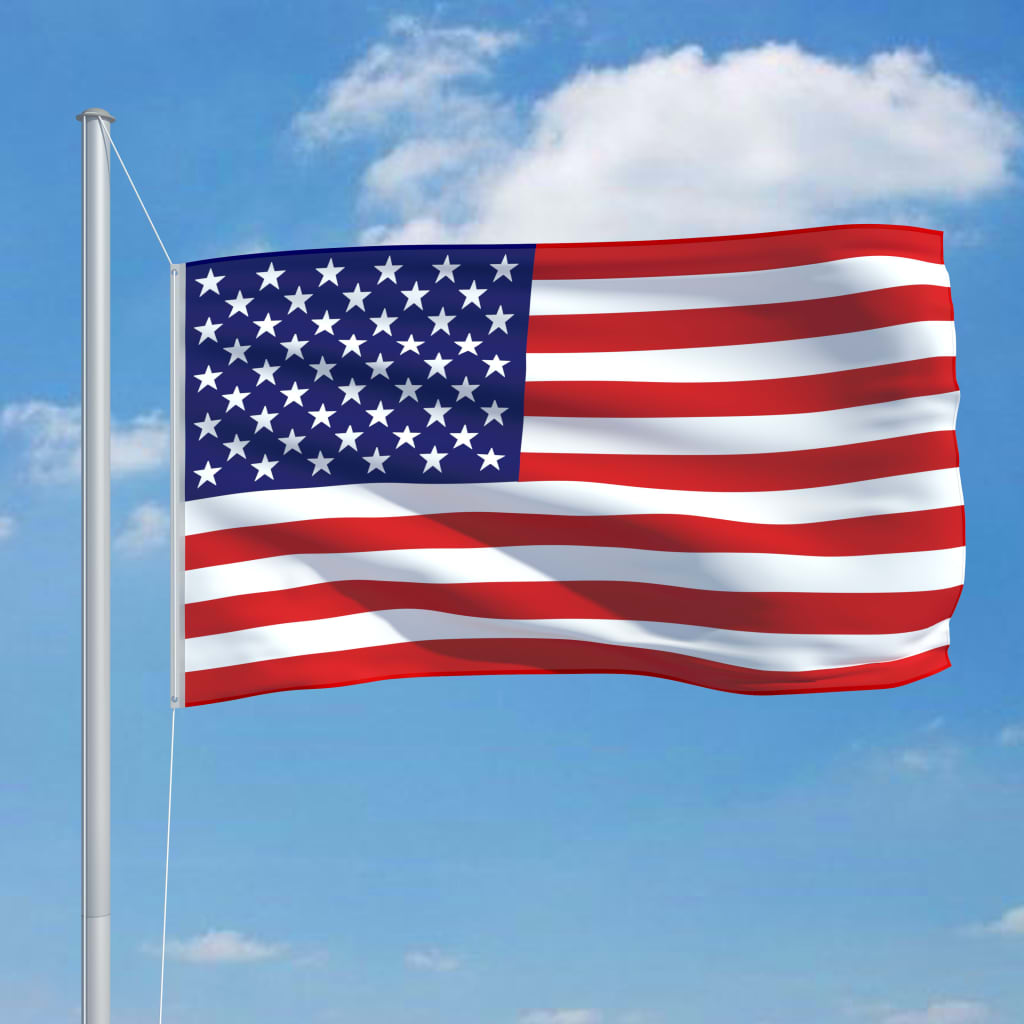 vidaXL JAV vėliava su stiebu, aliuminis, 6,2m