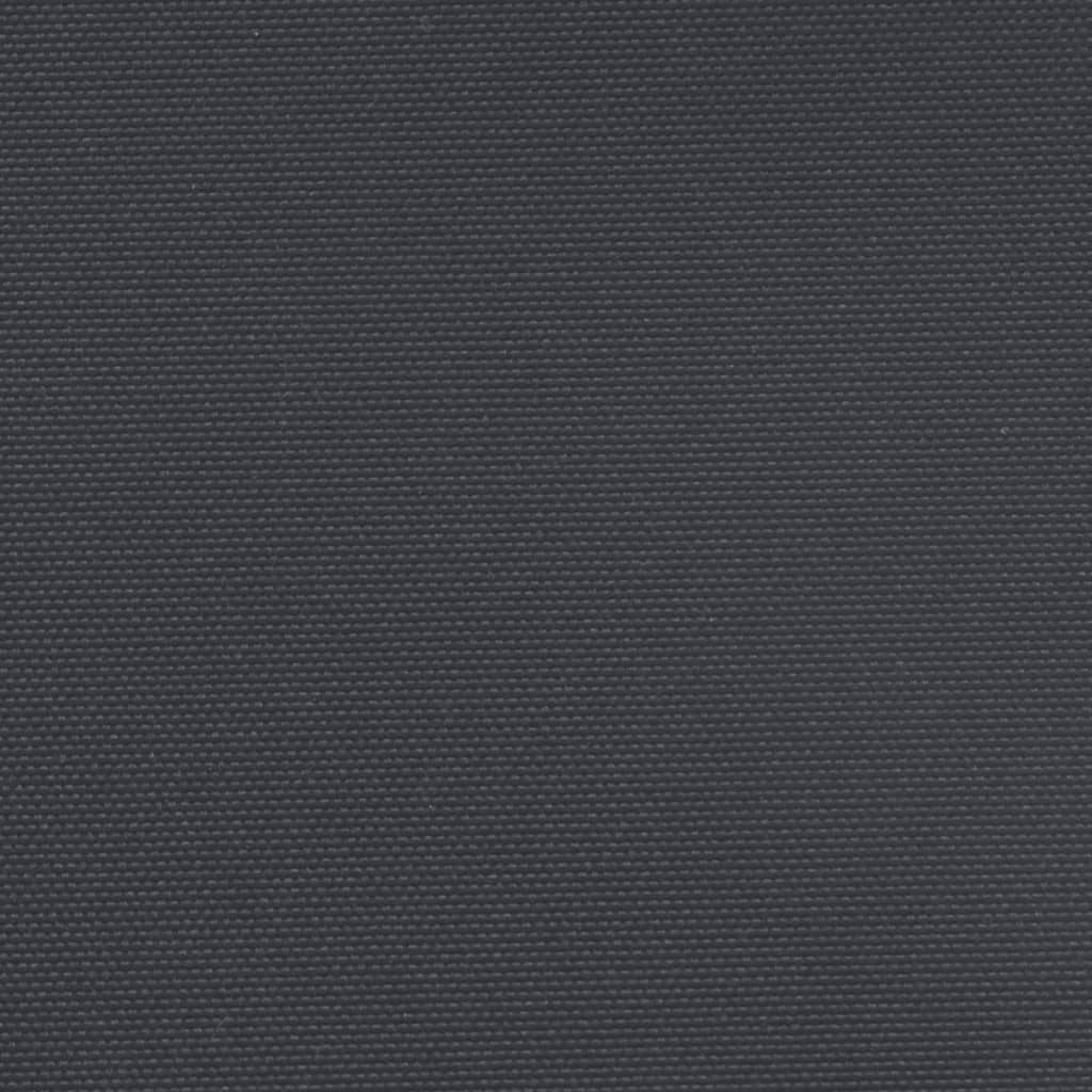 vidaXL Ištraukiama šoninė pertvara, juodos spalvos, 220x1000cm