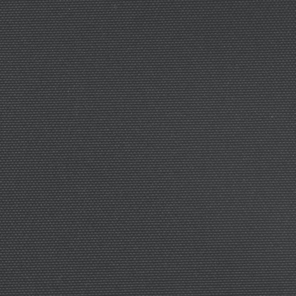 vidaXL Ištraukiama šoninė pertvara, juodos spalvos, 120x600cm