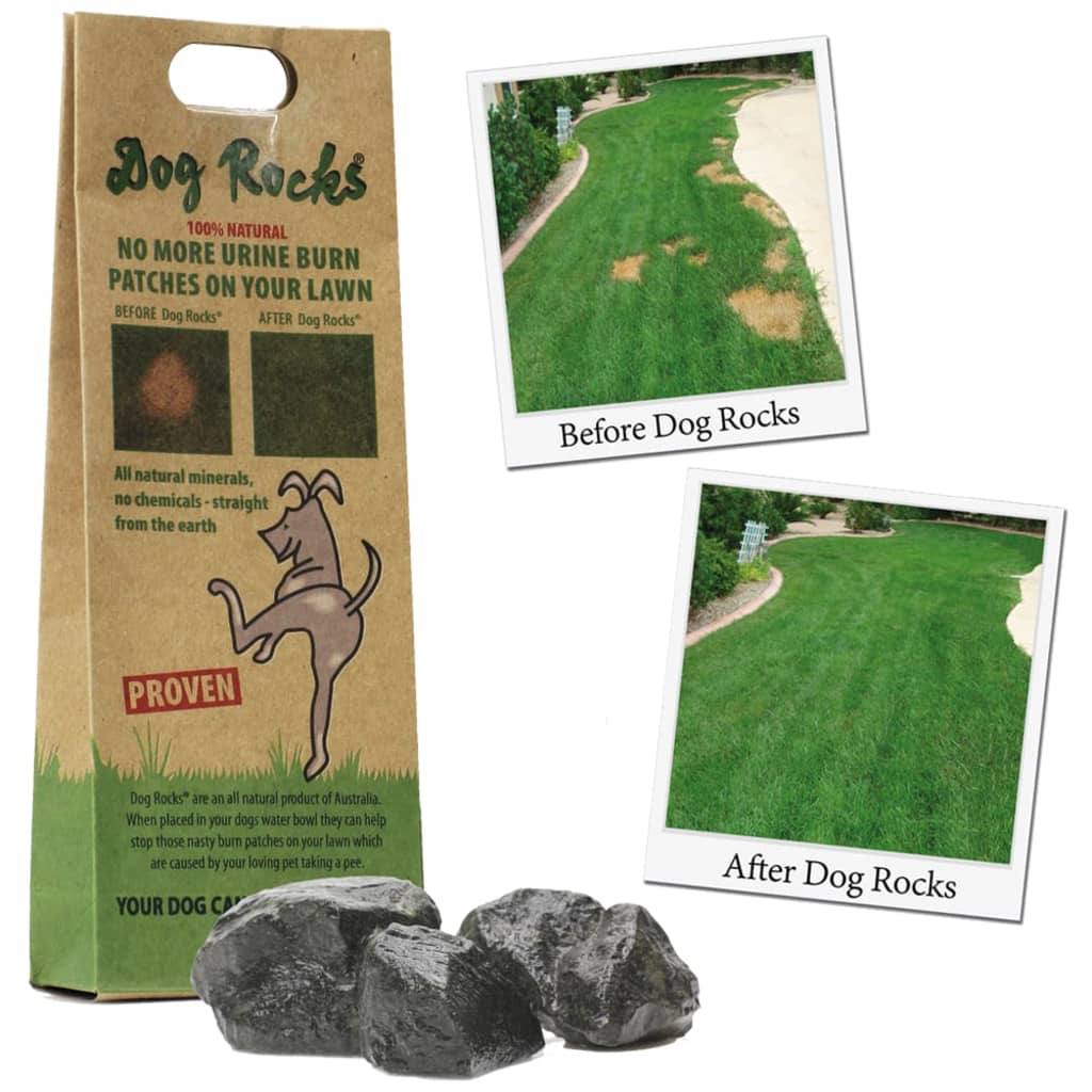 Dog Rocks Nuo šlapimo dėmių apsaugantys akmenys šunims