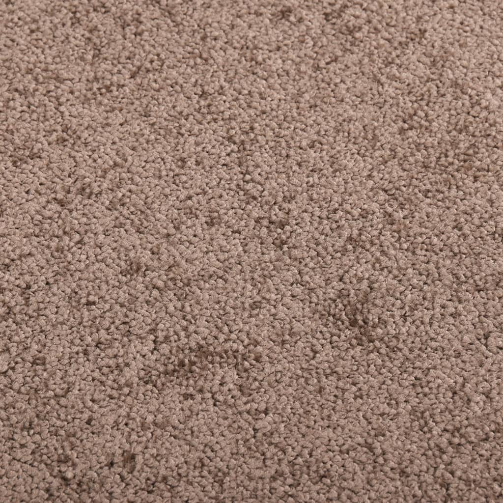 vidaXL Durų kilimėlis, rudos spalvos, 80x120cm