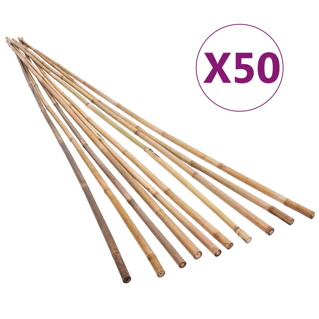 vidaXL Bambukiniai sodo kuoliukai, 50vnt., 120cm